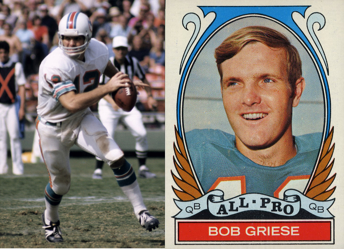 On this day in Florida history - June 25, 1981 - Dolphins QB Bob Griese  retires after 14 seasons